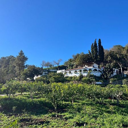 Finca Los Arcos Del Laurel Moya  Eksteriør bilde