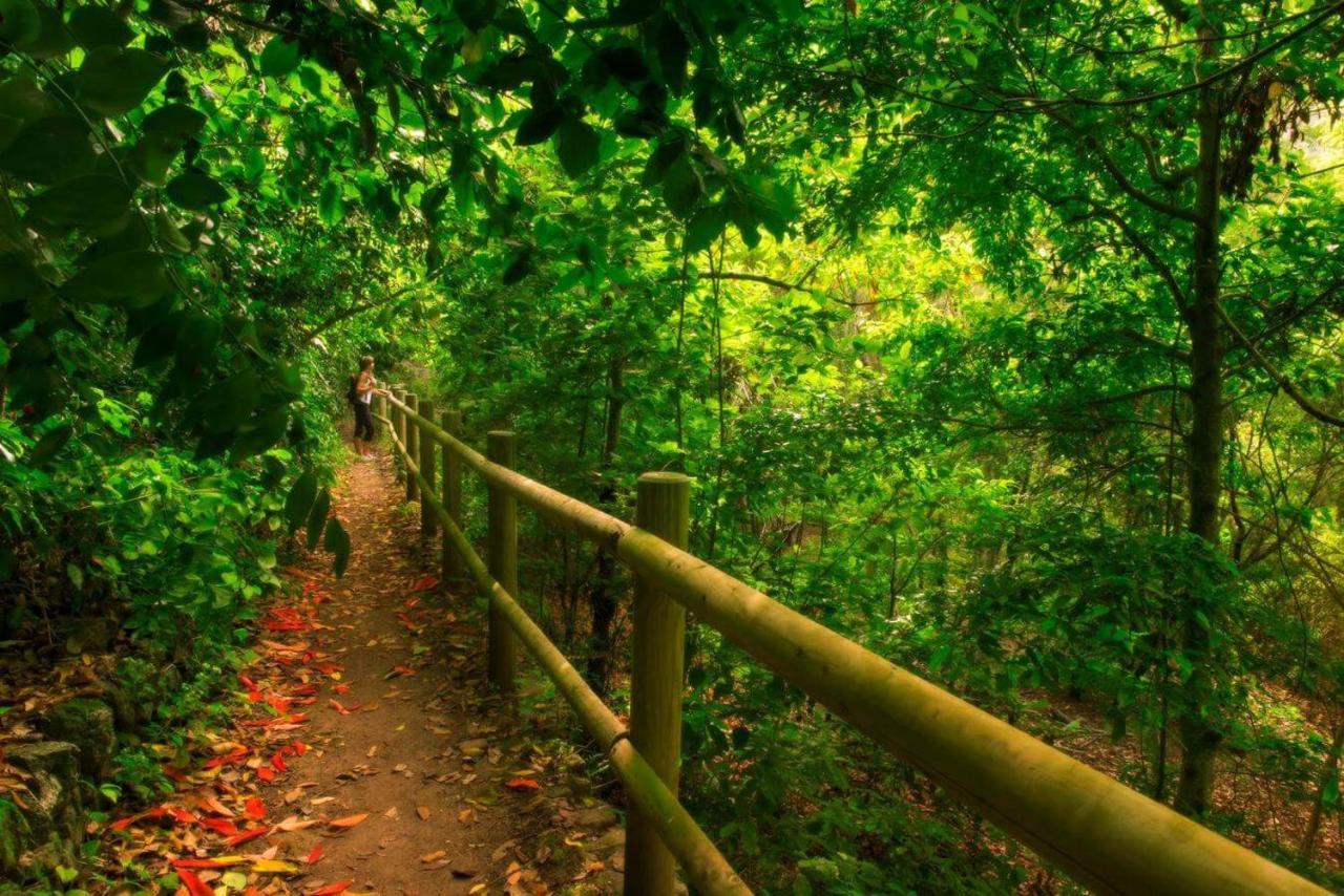 Finca Los Arcos Del Laurel Moya  Eksteriør bilde