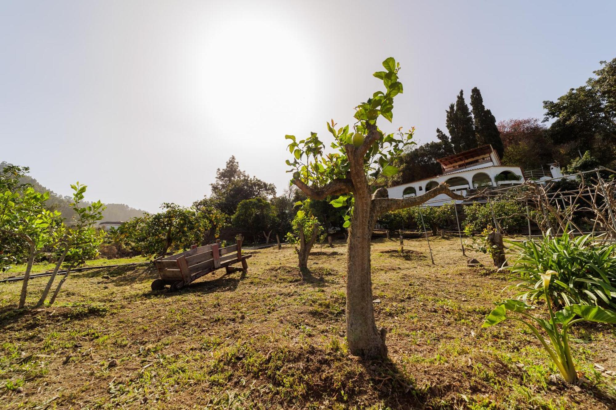 Finca Los Arcos Del Laurel Moya  Eksteriør bilde