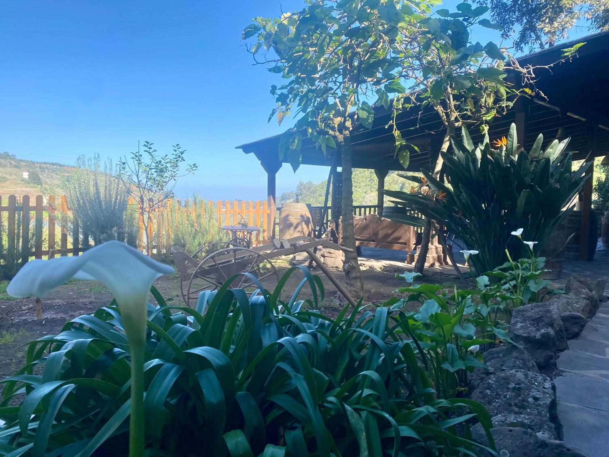 Finca Los Arcos Del Laurel Moya  Eksteriør bilde