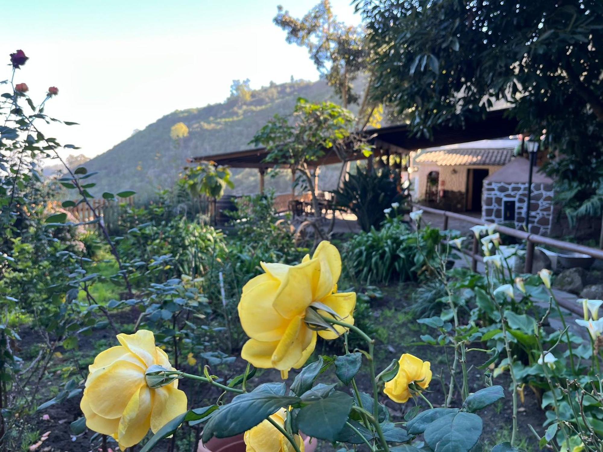 Finca Los Arcos Del Laurel Moya  Eksteriør bilde
