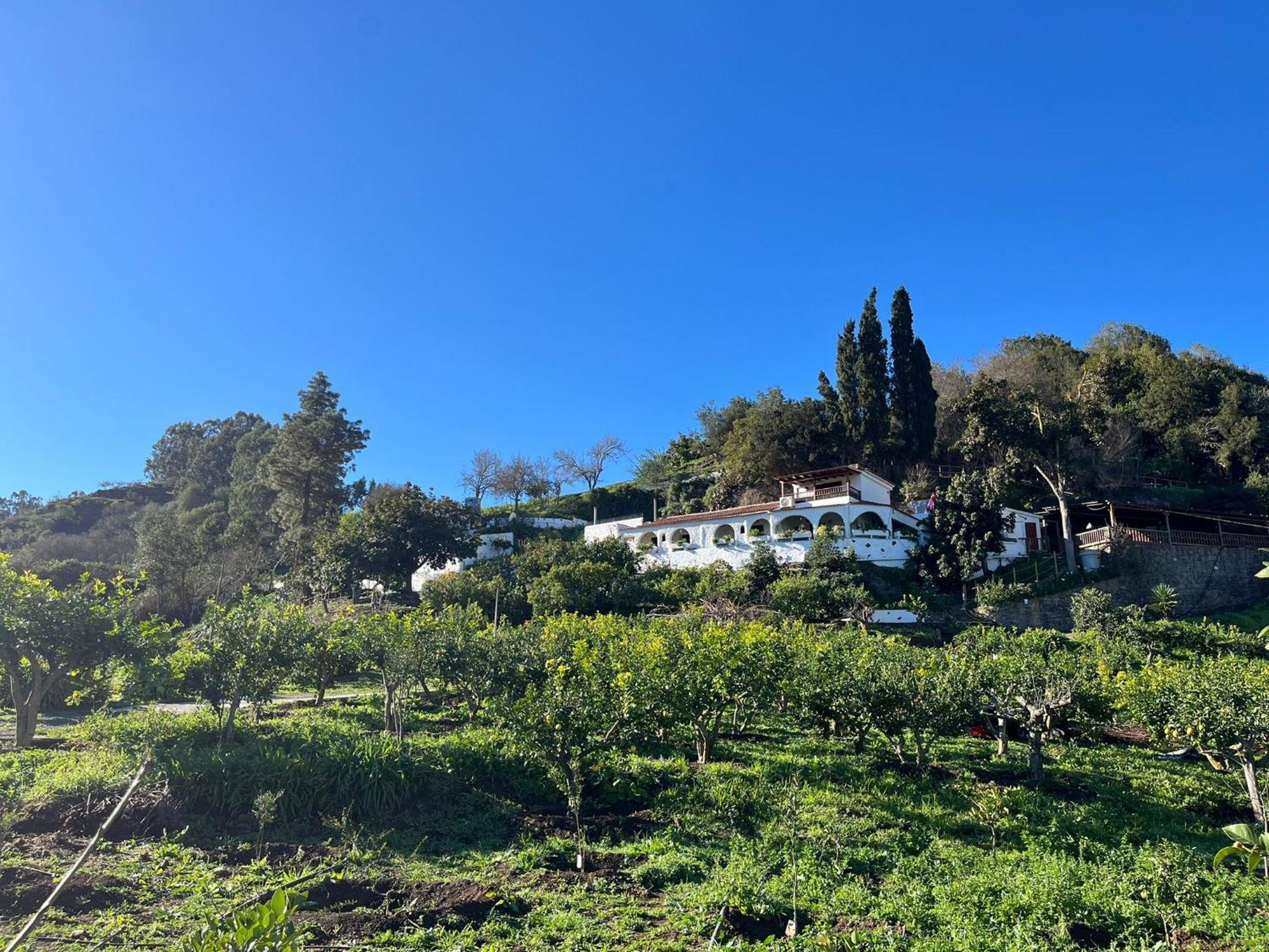 Finca Los Arcos Del Laurel Moya  Eksteriør bilde