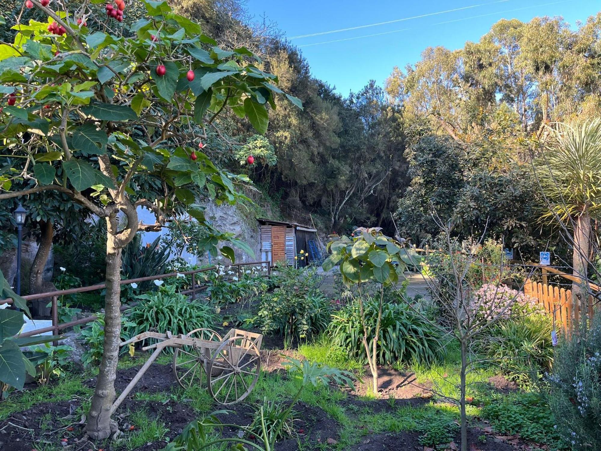 Finca Los Arcos Del Laurel Moya  Eksteriør bilde