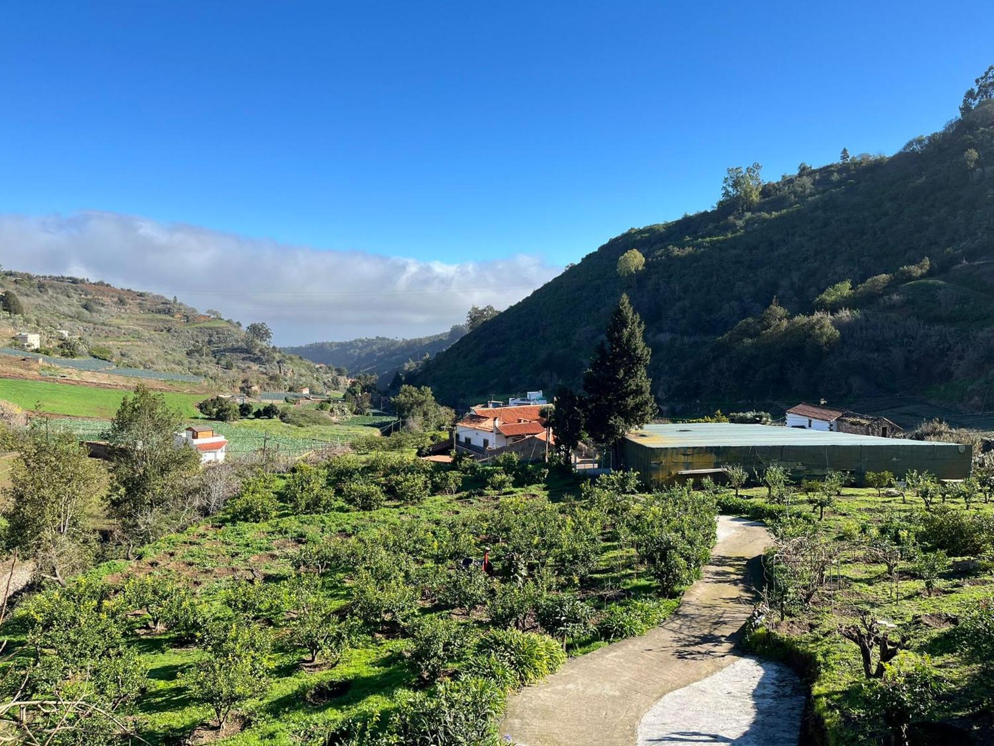 Finca Los Arcos Del Laurel Moya  Eksteriør bilde